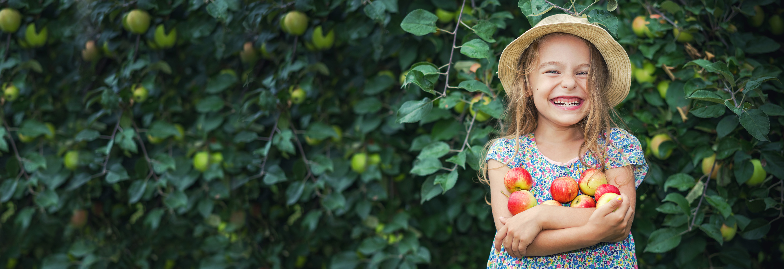 Little girl with apples in her hands.